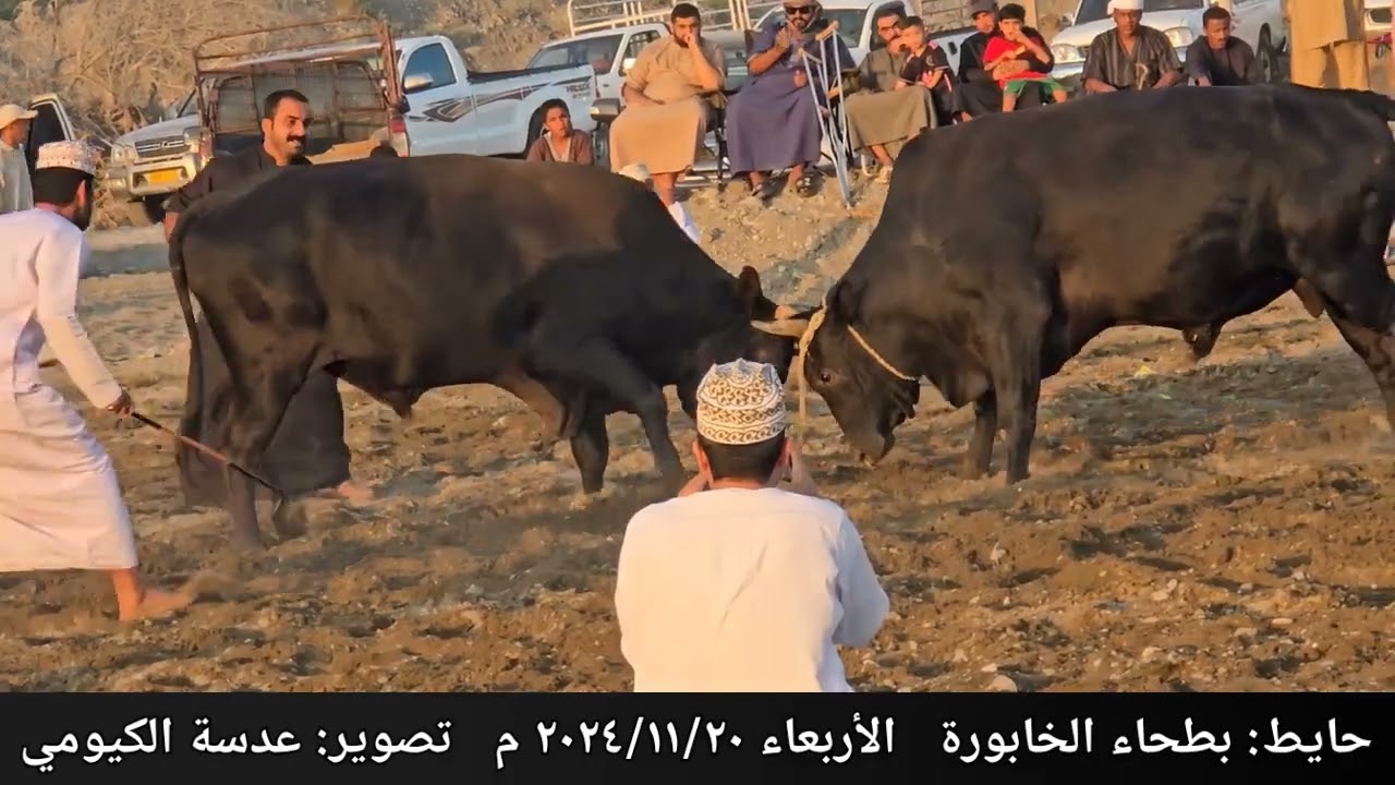 الدهمان و المتحيل ... حايط بطحاء الخابورة ٨