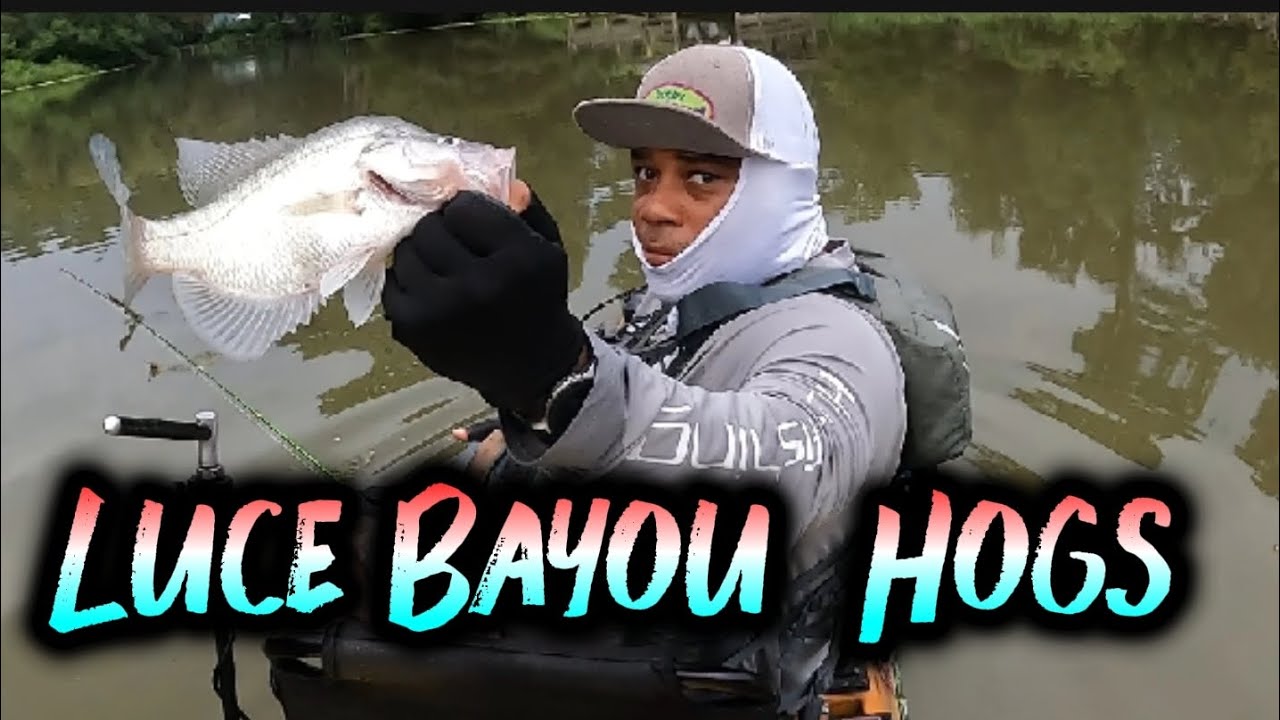 Big Crappie Has Move in On Luce Bayou 