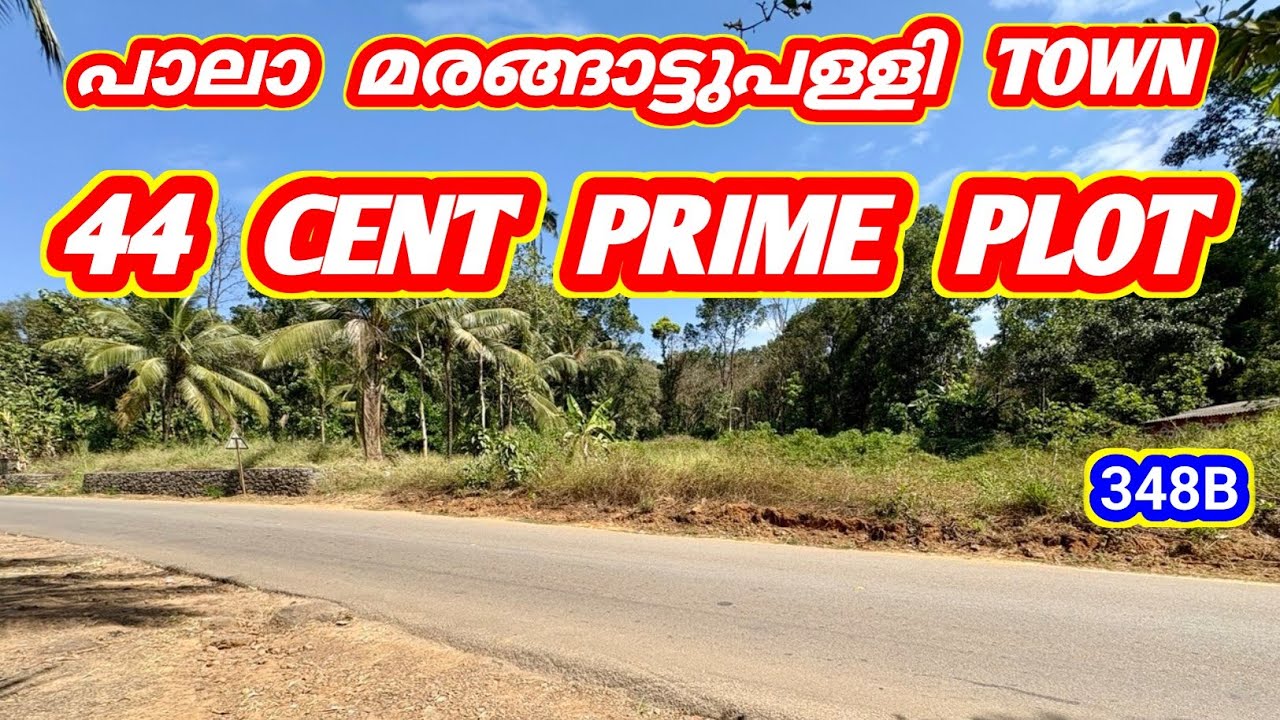 44 CENT PRIME PLOT 😍 | മരങ്ങാട്ടുപള്ളി  Town  | Best Investment Deal 💥 