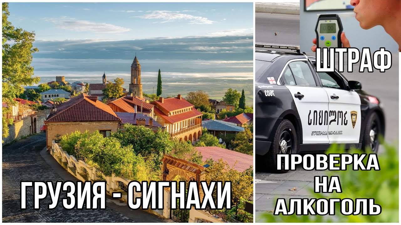 Грузия. Сигнахи. Винный погреб Слезы фазана. Остановила полиция. Проверка на алкоголь и штраф.