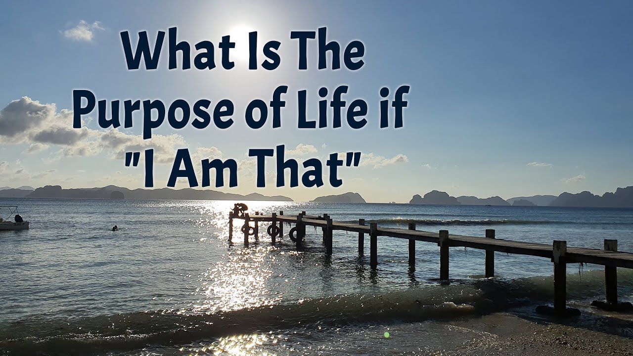 What Is The Purpose of Life if &lsquo;I Am That&rsquo; | Vedanta for Everyday Life | Robbin Ghosh