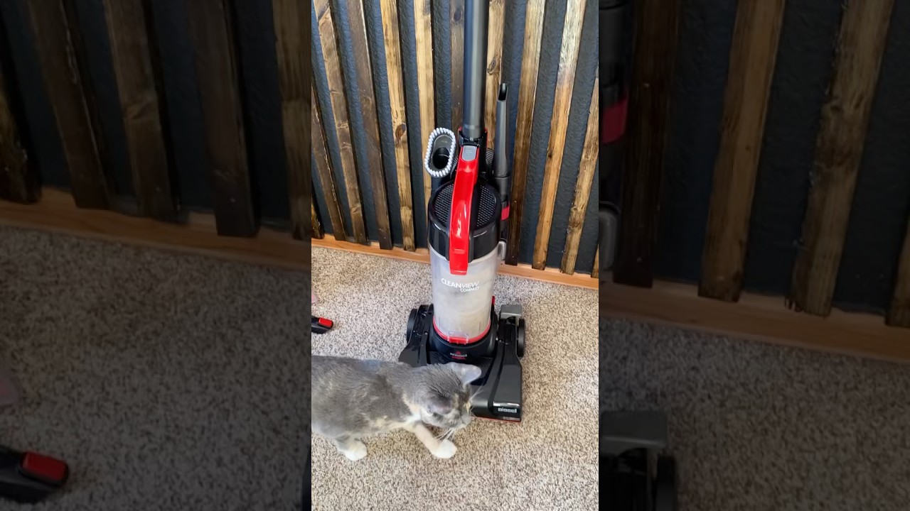 How to use the wand attachment for the Bissell Cleanview vacuum. 
