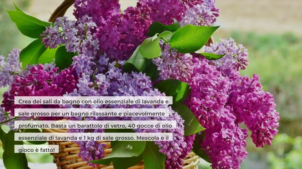 Lavanda: come usarla per creare splendide decorazioni in casa