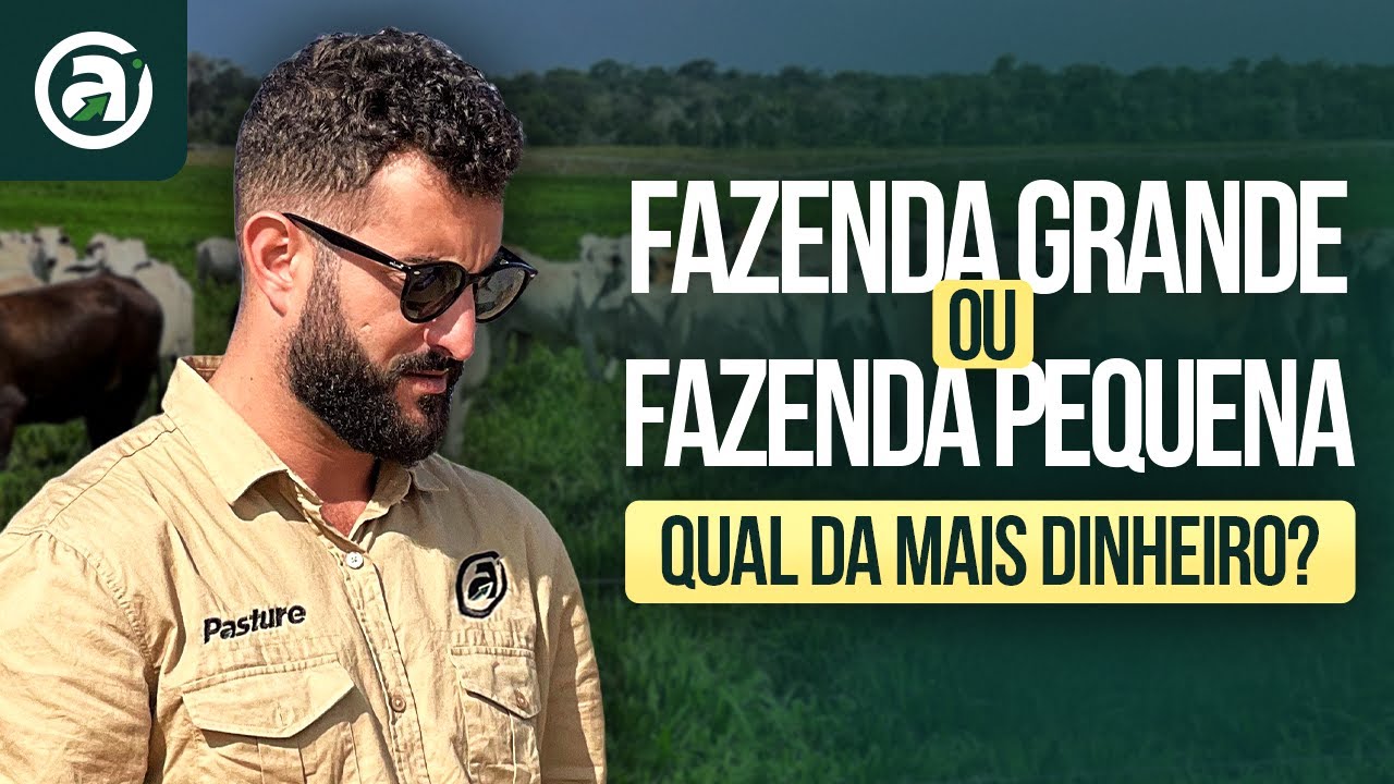 FAZENDA COMPACTA | Como uma fazenda ''PEQUENA'' pode dar mais DINHEIRO que uma GRANDE?