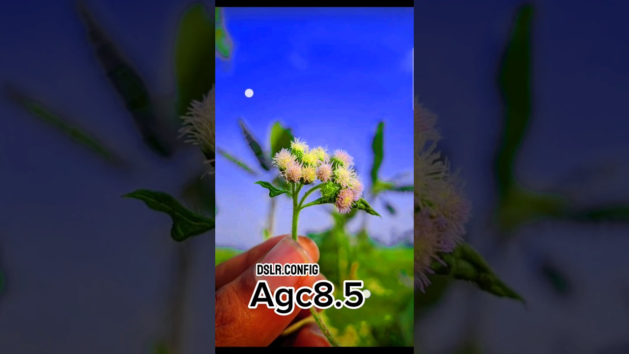 AGC 8.5.😱DSLR🍁.CONFIG.FILE:⁠-⁠) #AGC85 #gcam  #gcam_config_file  #technicalbarik24