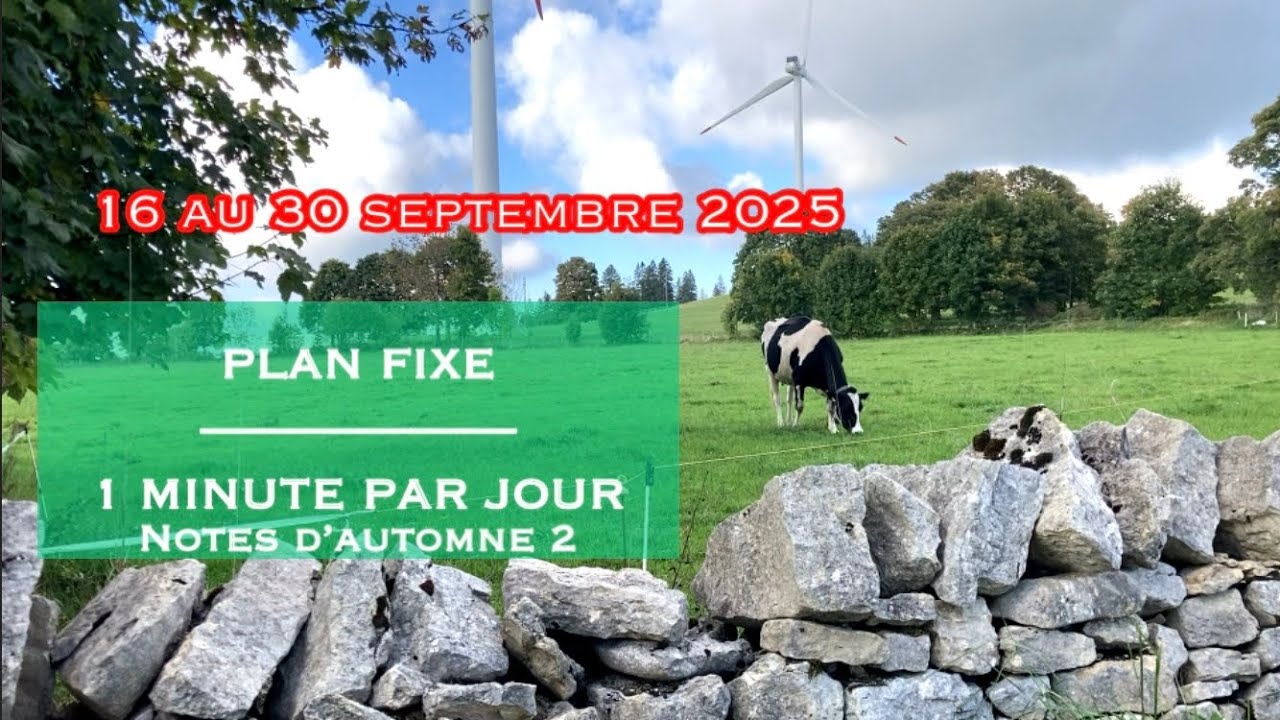 PLAN FIXE - 1 MINUTE PAR JOUR - Notes d'automne 2
