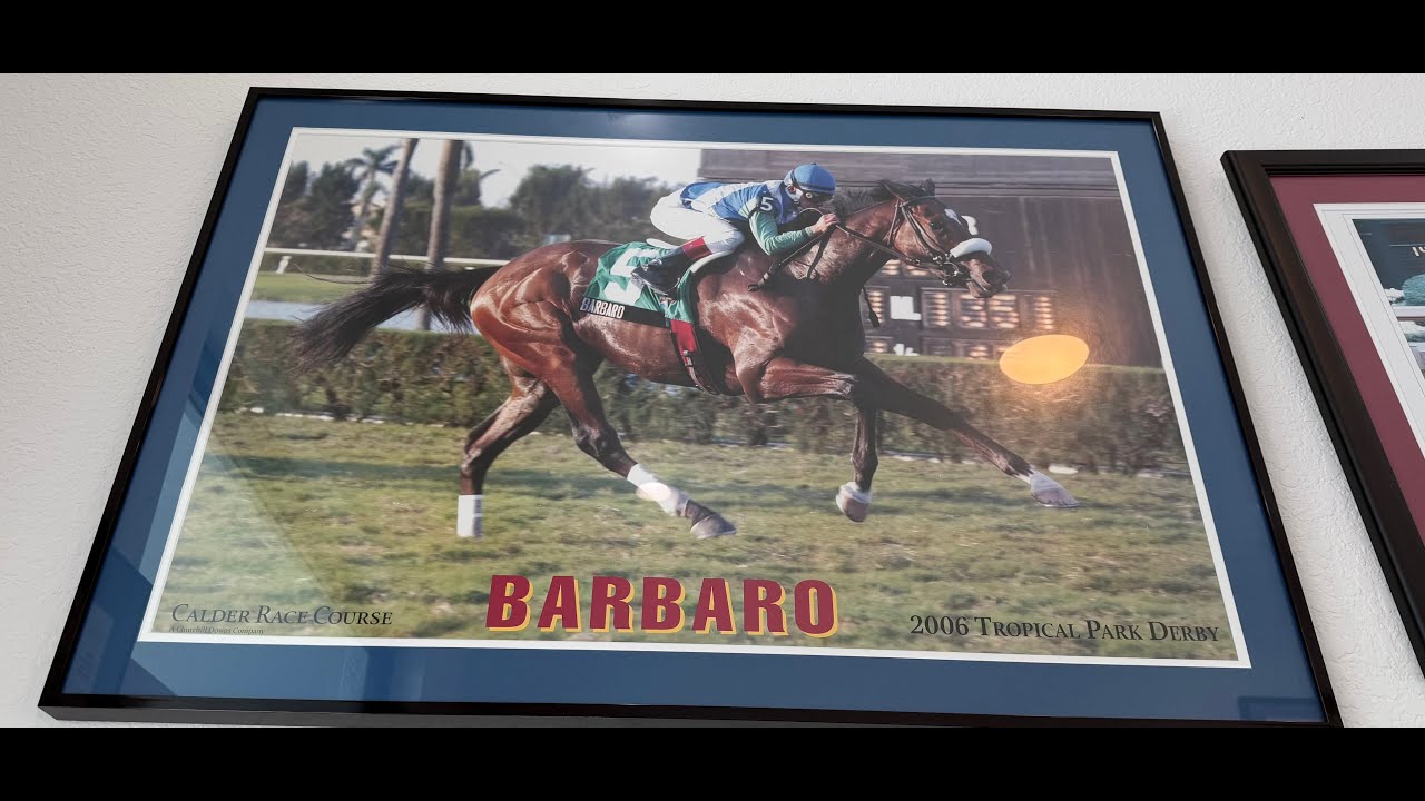 The Tropical Park Derby Thorograph Numbers and Patterns and a High Level look at the PP's