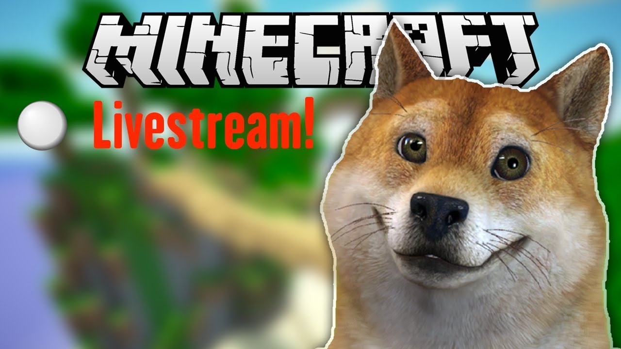 Livestream z Miniher s DogeWebkou [GEJMR]