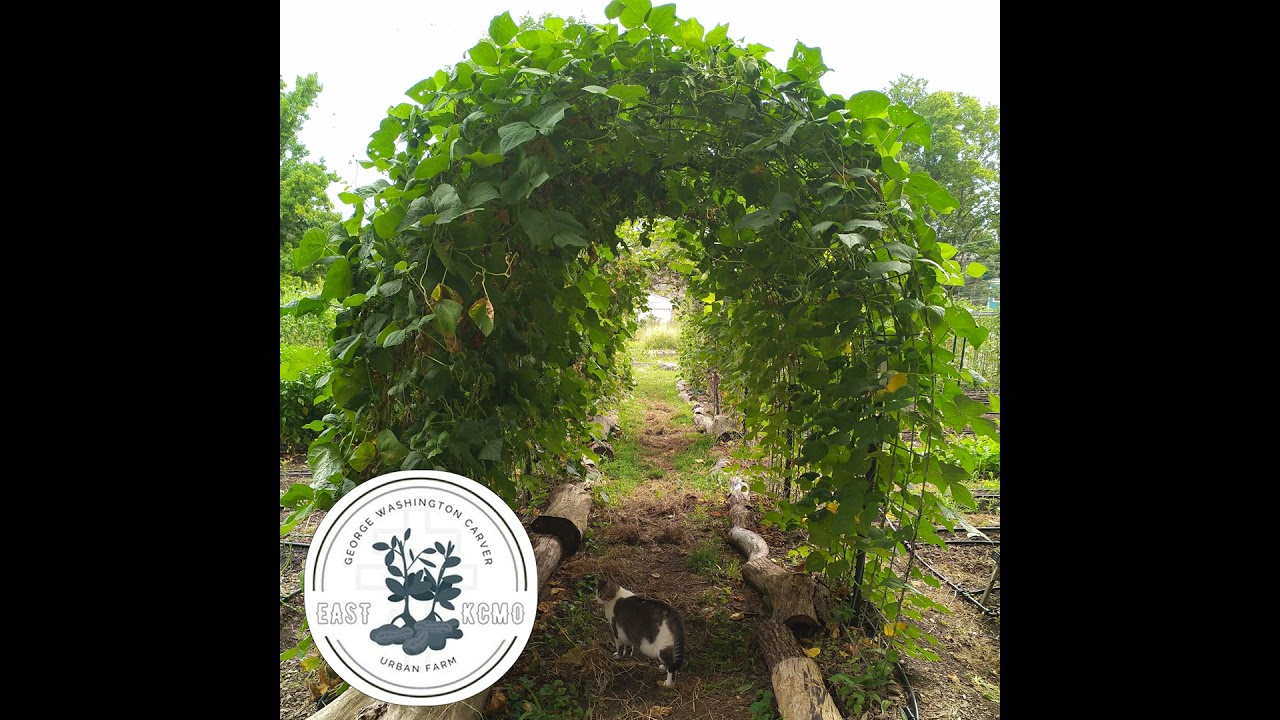 George Washington Carver Farm- Cultivating Relationships to Nourish a Community