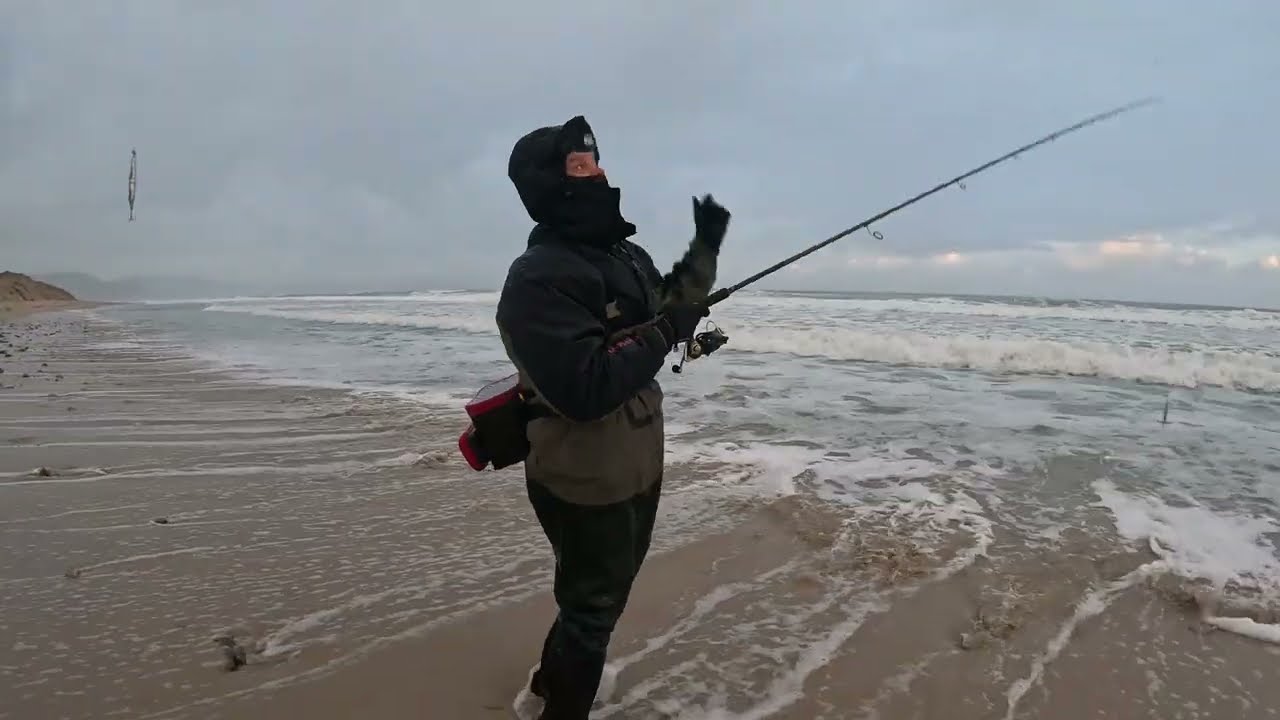 Robalos a la fuga