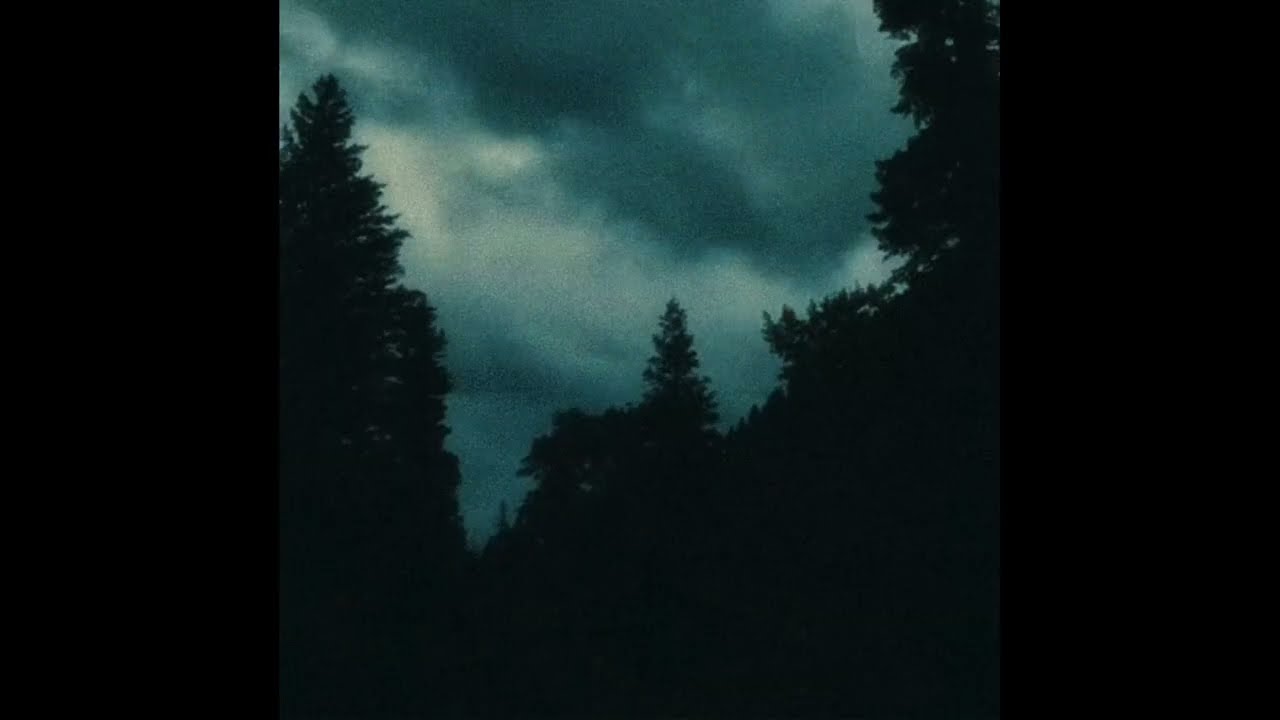 (FREE) Wallace Cleaver & Yvnnis Type Beat - "BOHÈME"