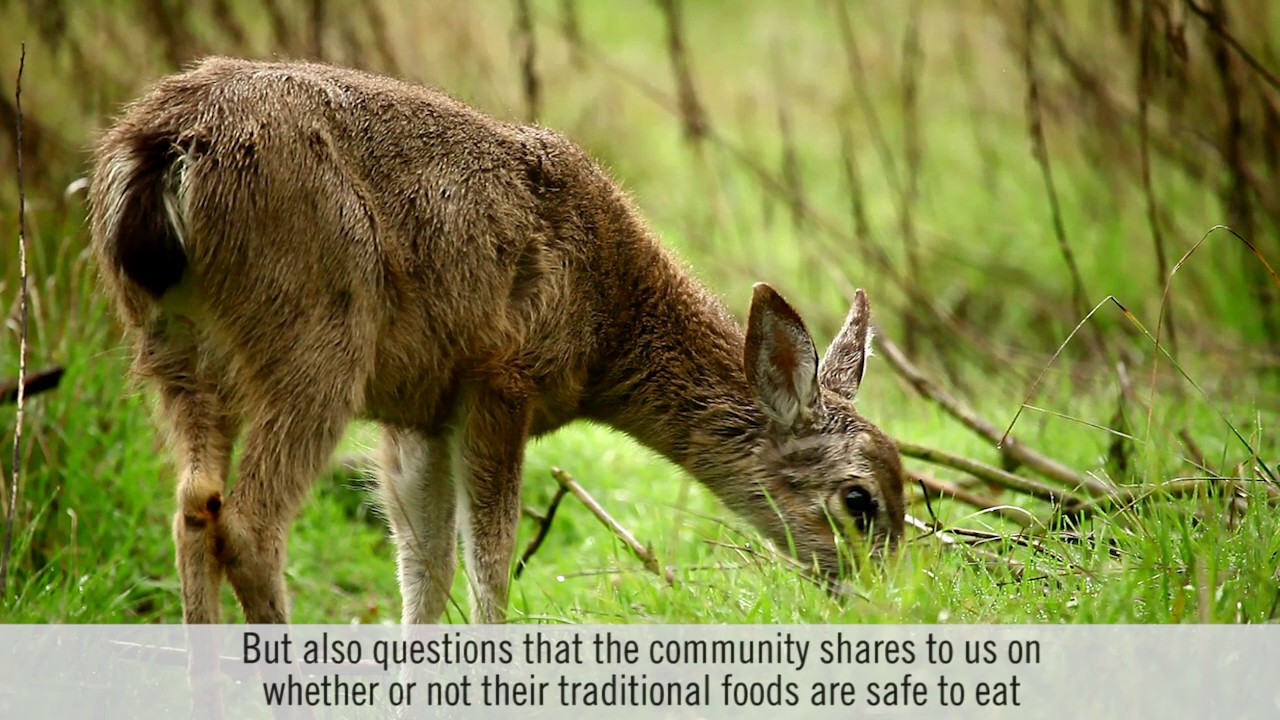 Science Matters: Protecting Wildlife with Indigenous communities