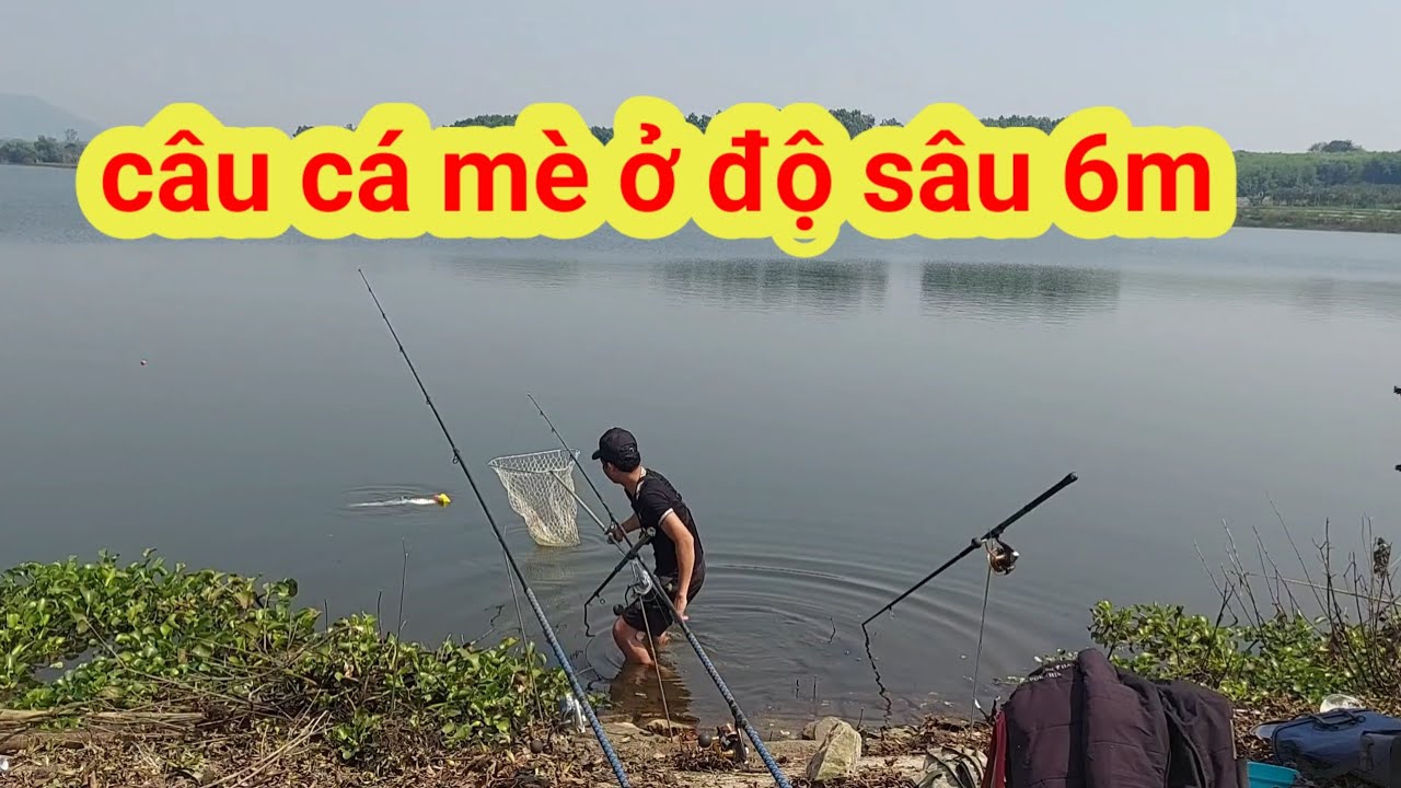 chia sẻ kinh nghiệm câu cá mè ở độ sâu 6m , cá ăn nhiều hơn 