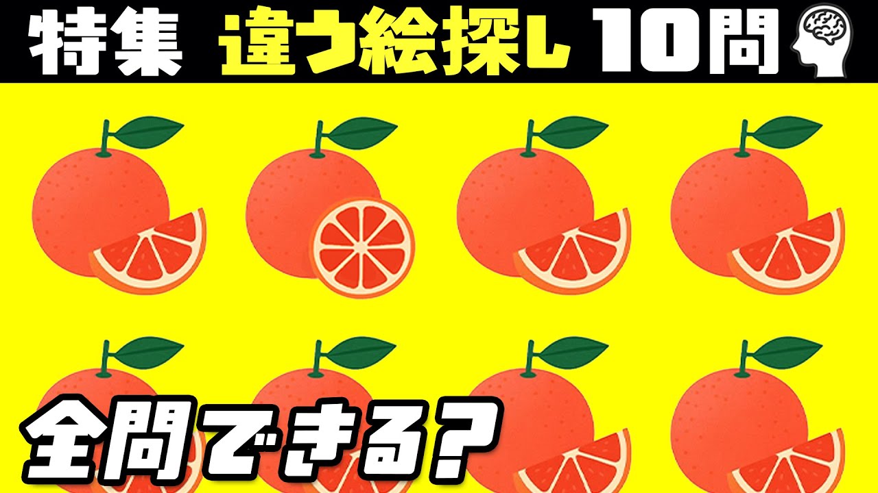 【特集】違う絵探し《全10問》違う絵を2つ探すクイズ｜part01