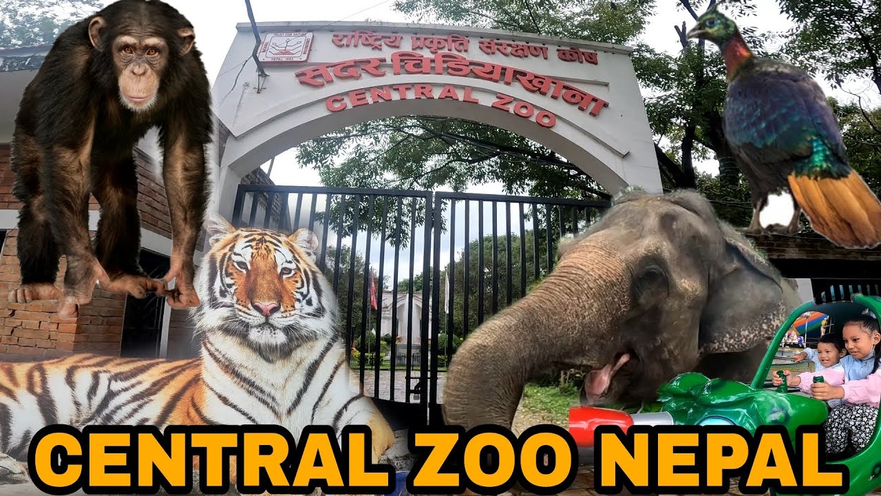 CENTRAL ZOO OF NEPAL | CHIDIYAKHANA | ZOO ANIMALS | NEPAL ZOO TOUR | FUN PARK | SangyeLa Vlogs