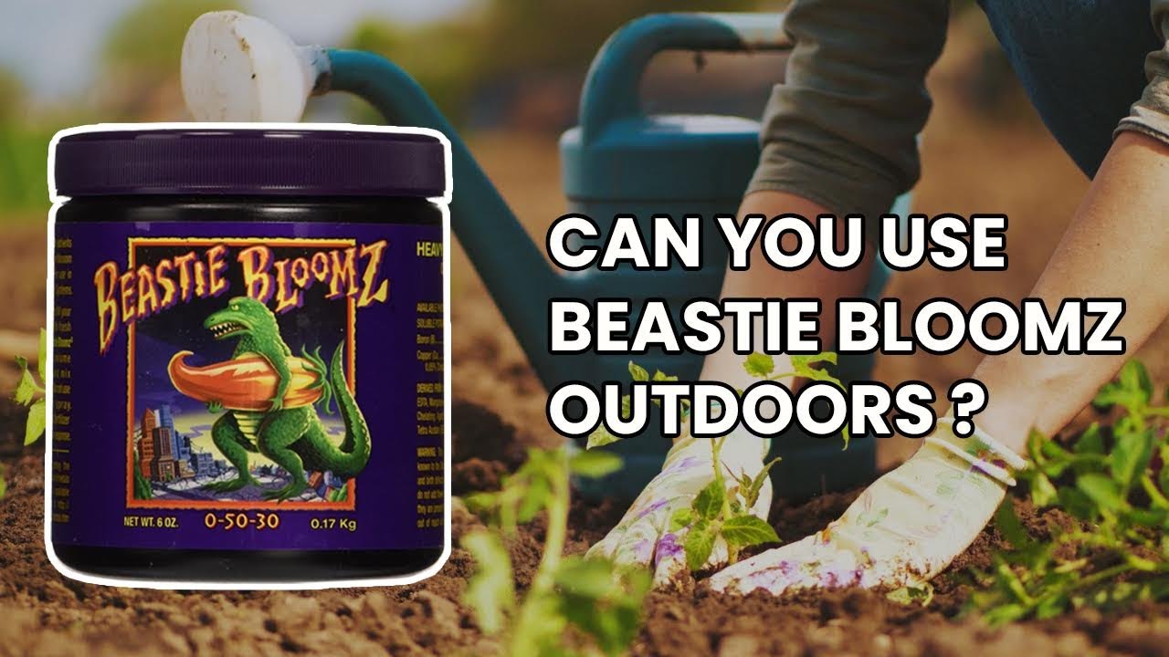 Fox Farm - Beastie Bloomz for my out door plants?