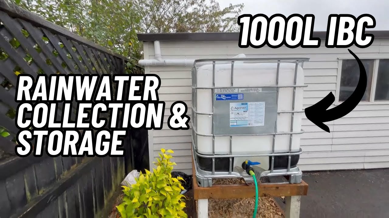 DIY Rainwater Harvesting System with IBC Tank | Lawn to No Dig Vegetable Garden