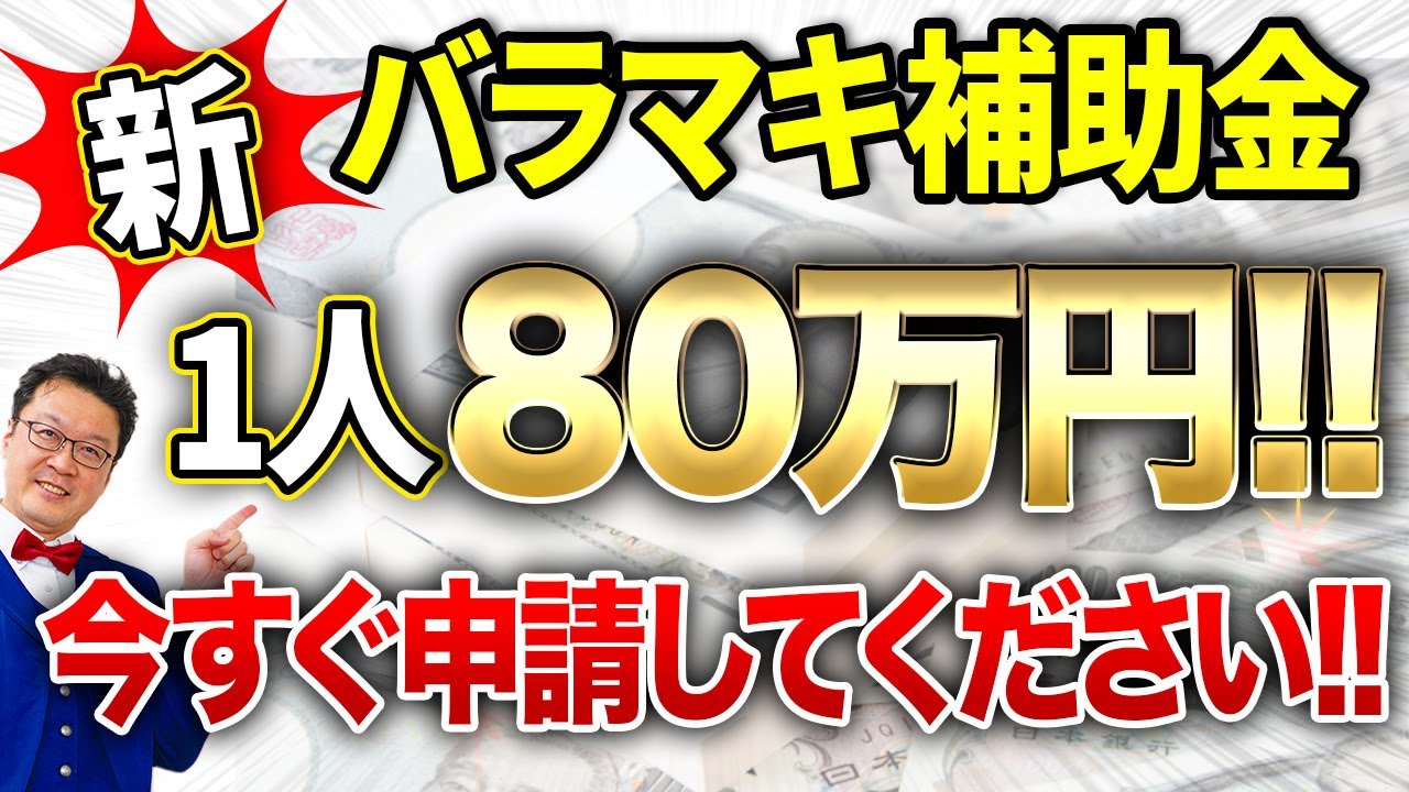 【速報】一人80万円貰える「最強の補助金」がついに登場！この動画を見たら今すぐ申請してください！
