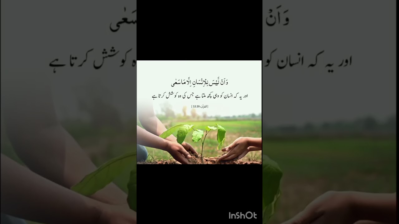 #Faithandguidance #Quranwisdom