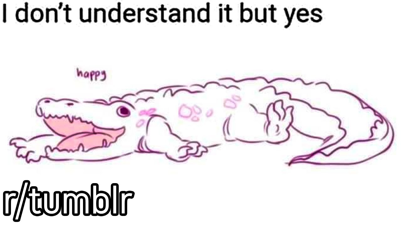 r/tumblr | Happy Crocodile!