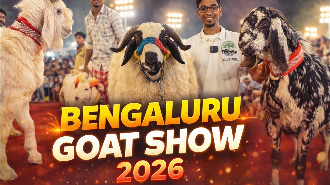 Royal Ranches at JAZBA - The Great Bengaluru Sheep & Goat Show 2026