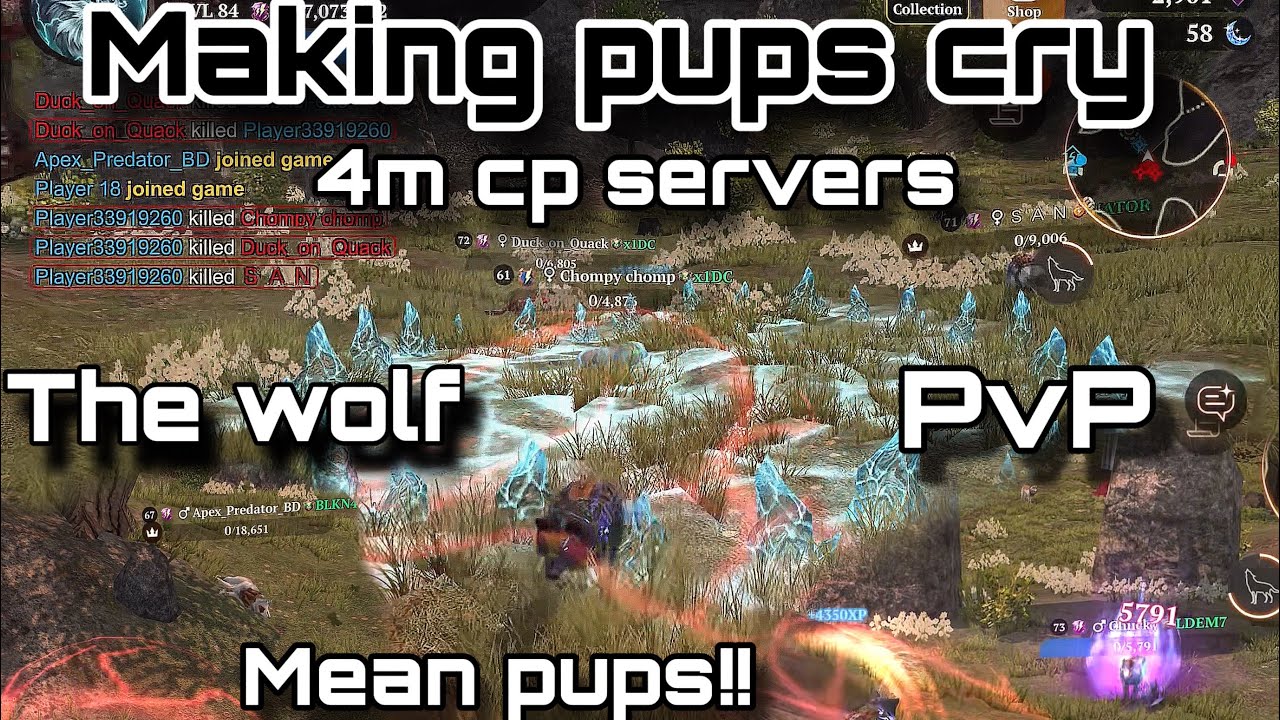The wolf - Joining a WAR and making people cry by accident 😞 || PvP 4m - 8m CP brackets