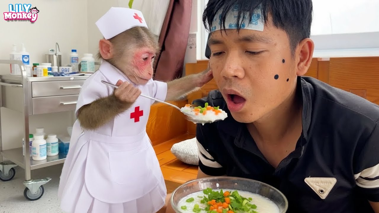 What will nurse Lily do when dad has a high fever? | Lily's story