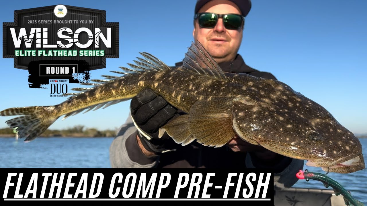 Flathead Fishing Competition - Tips and Tactics