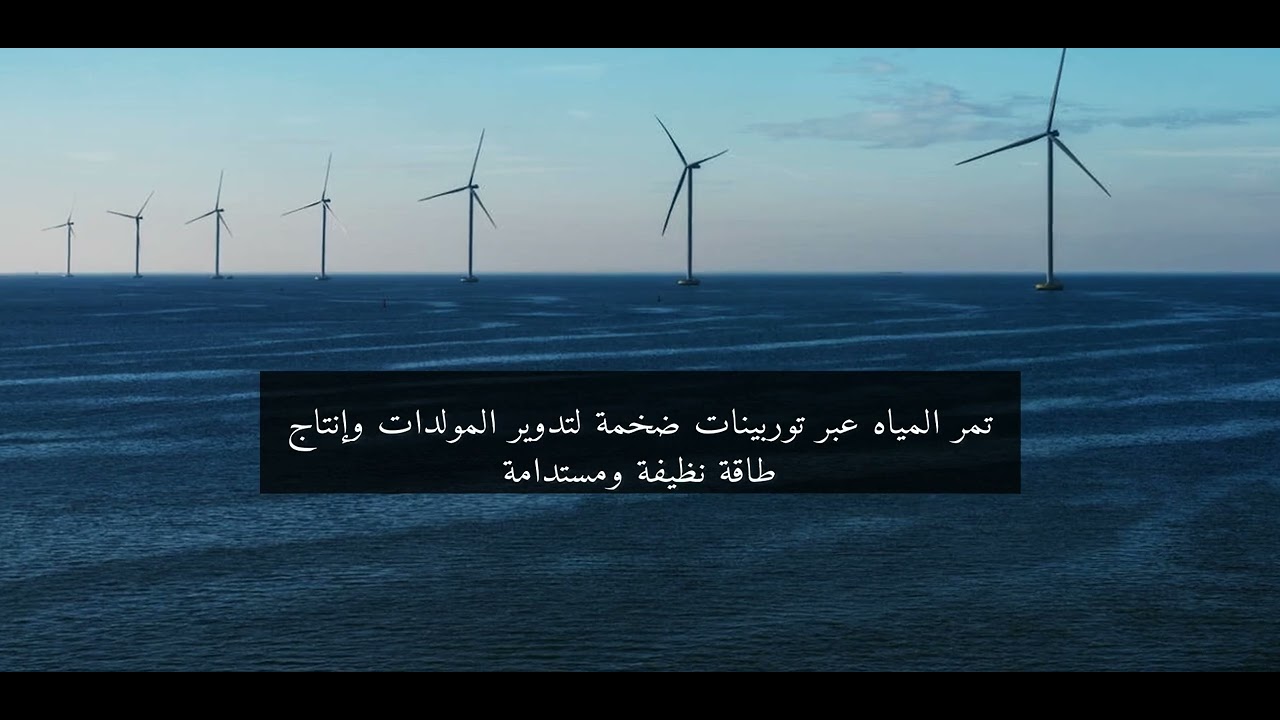 لغز الذكاء وراء بناء السدود