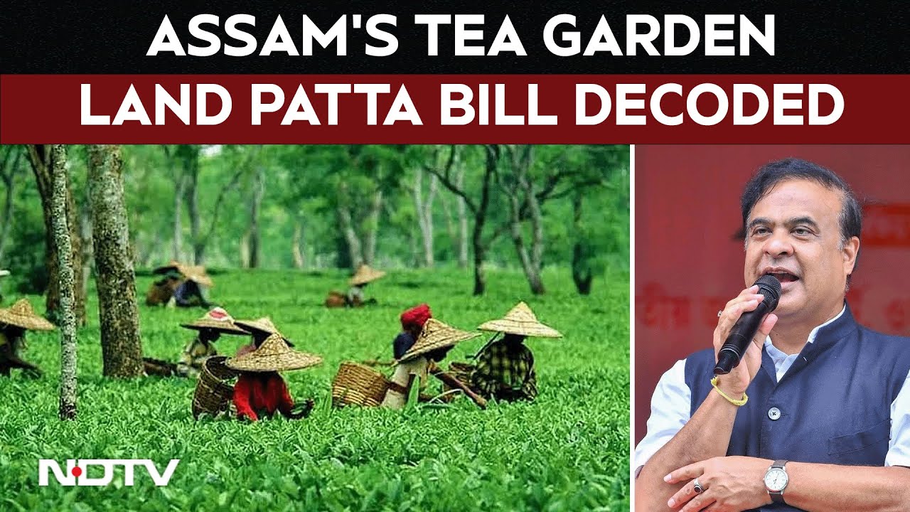 Assam News | Assam Land Patta Bill: What Assam Tea Garden Land Patta Bill Means for the State ?