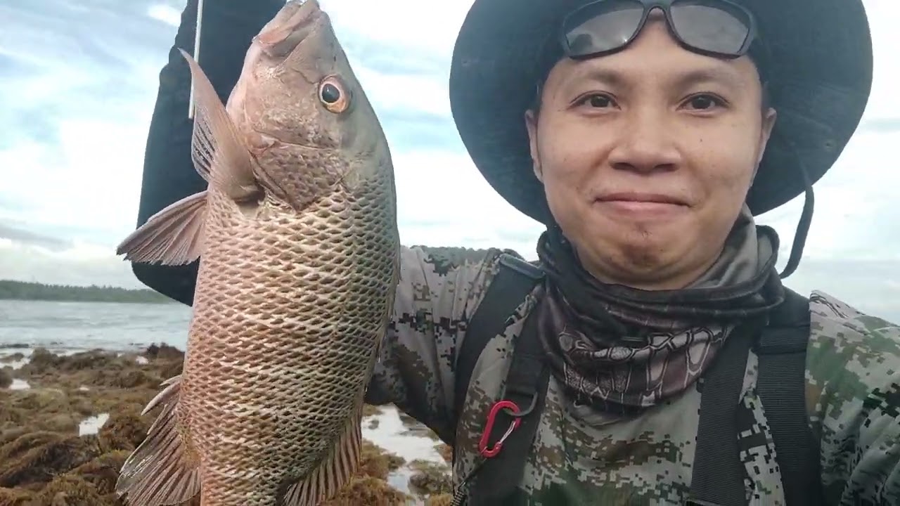 Philippine mangrove snapper! #anglerph #seafood 