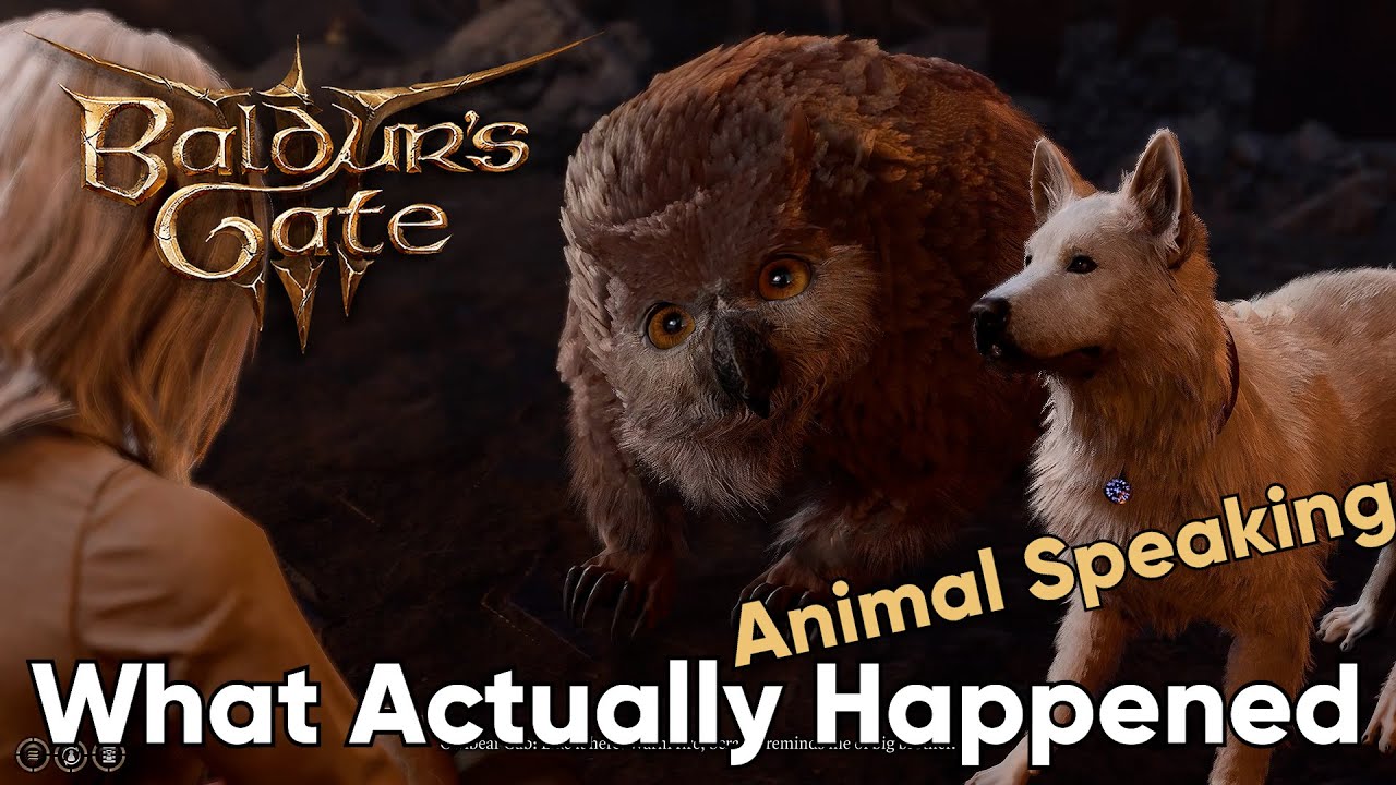 Baldur's Gate 3 Owlbear Cub What Actually Happened? Animal Speaking