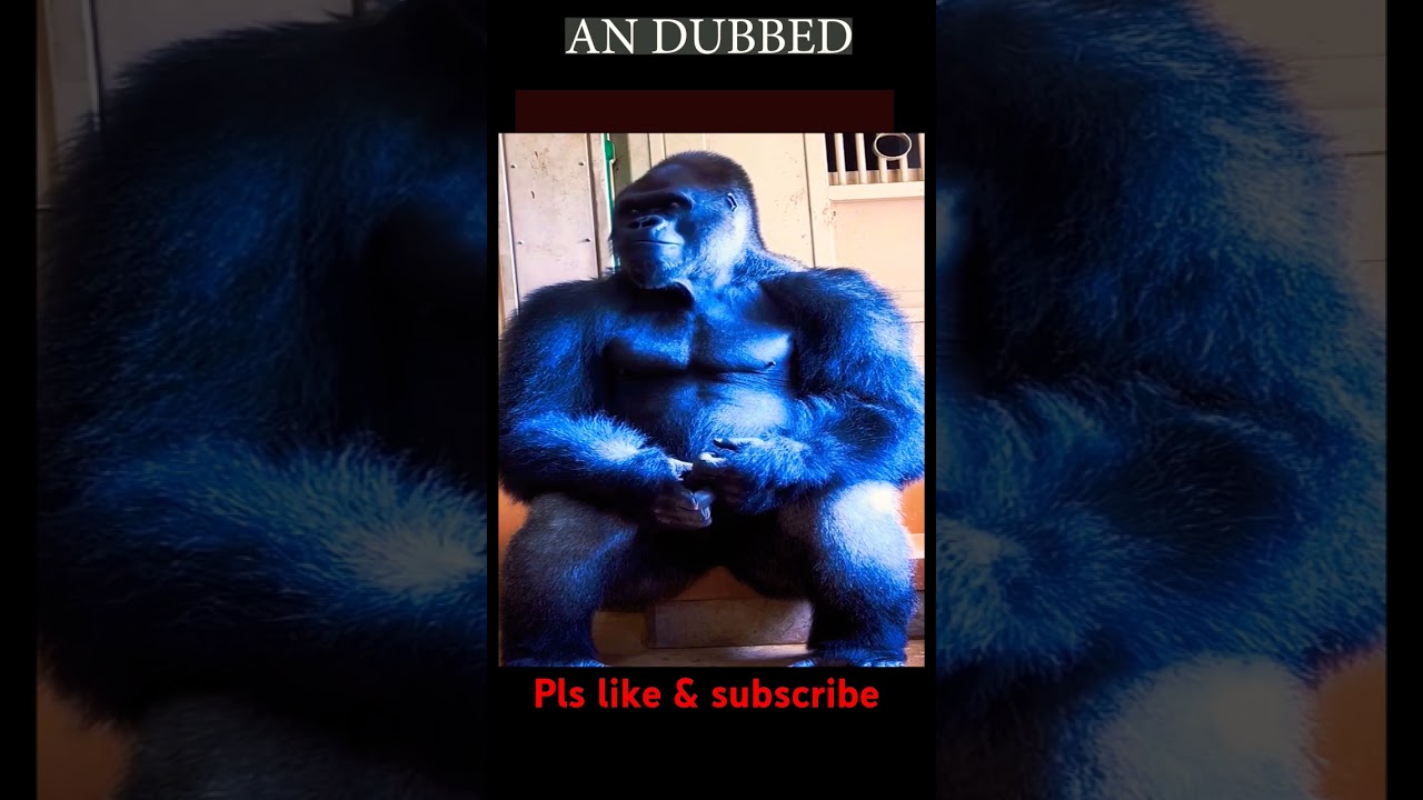 #funnyvideo #dubbedshorts