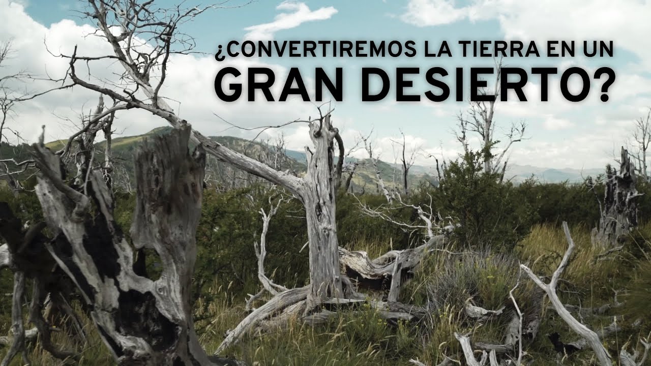 ¿Estamos transformando la Tierra en un gran desierto?