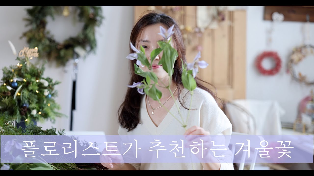 (eng.) 플로리스트가 추천하는 겨울꽃 winter flowers recommended by florist #라넌큘러스 #florist #frenchflowerdesign