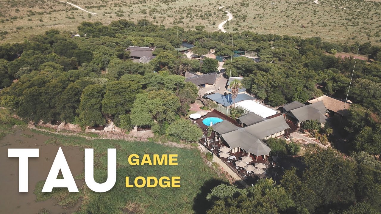 Лучший опыт сафари! TAU GAME LODGE