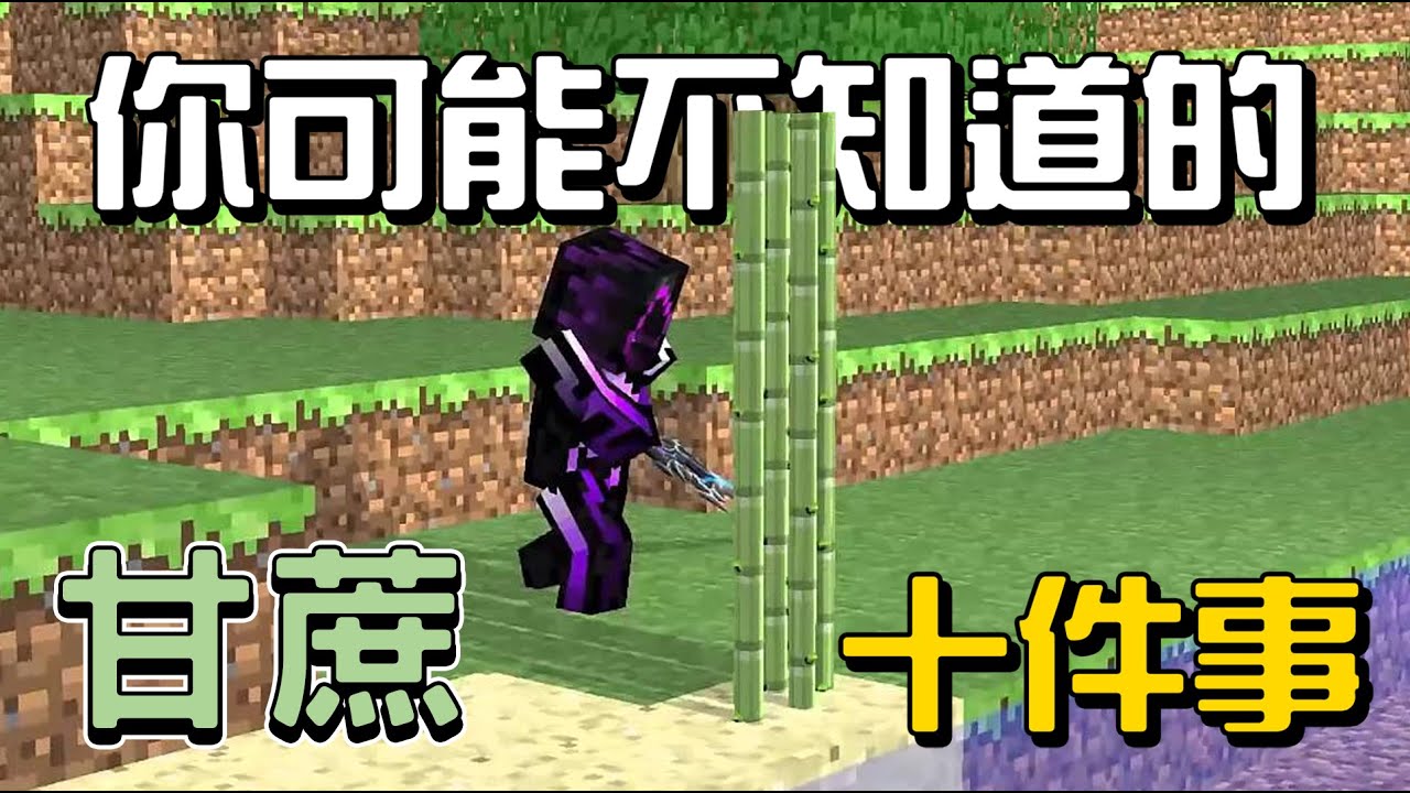 你可能不知道的竹..甘蔗10件事!!!【秋風麥塊生物學】