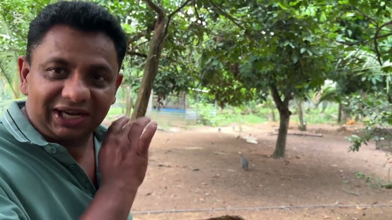 ගොවිපලේ පොහොර...
