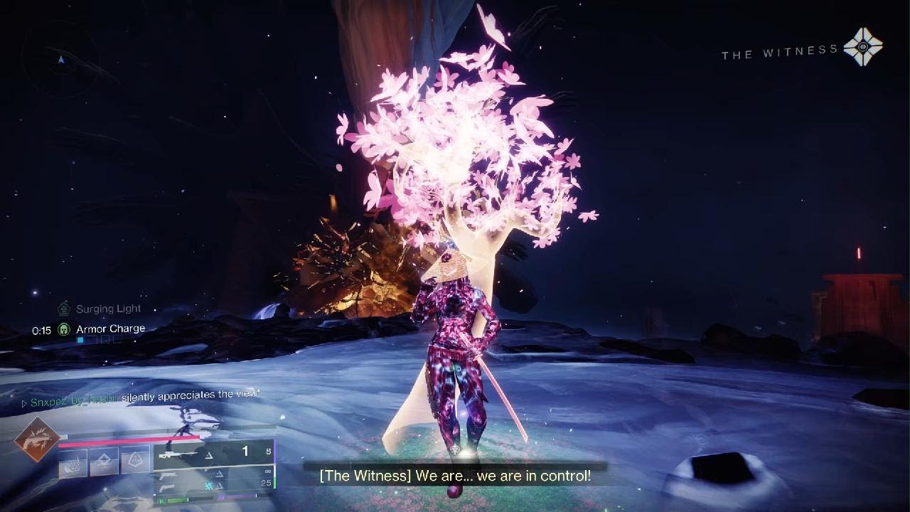 Solo Witness (renegades)