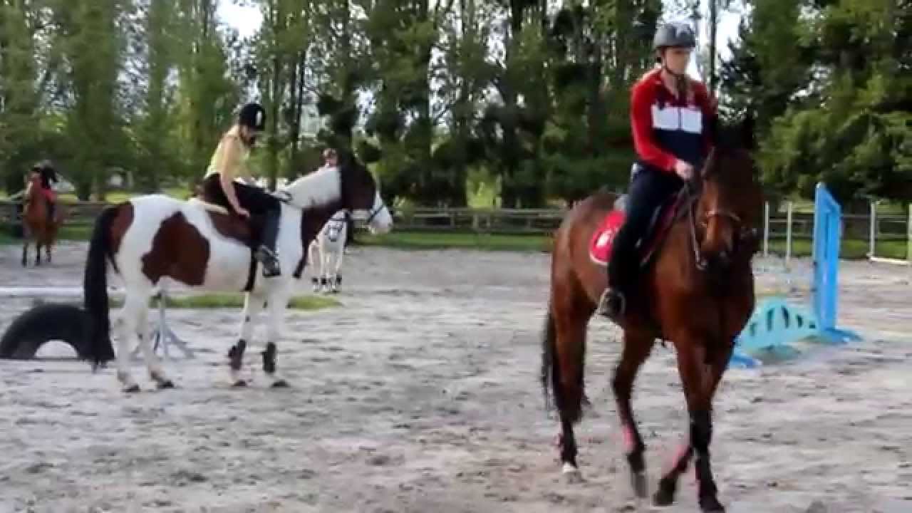○ Cours de Saut ○ avec Patou et Ulile!