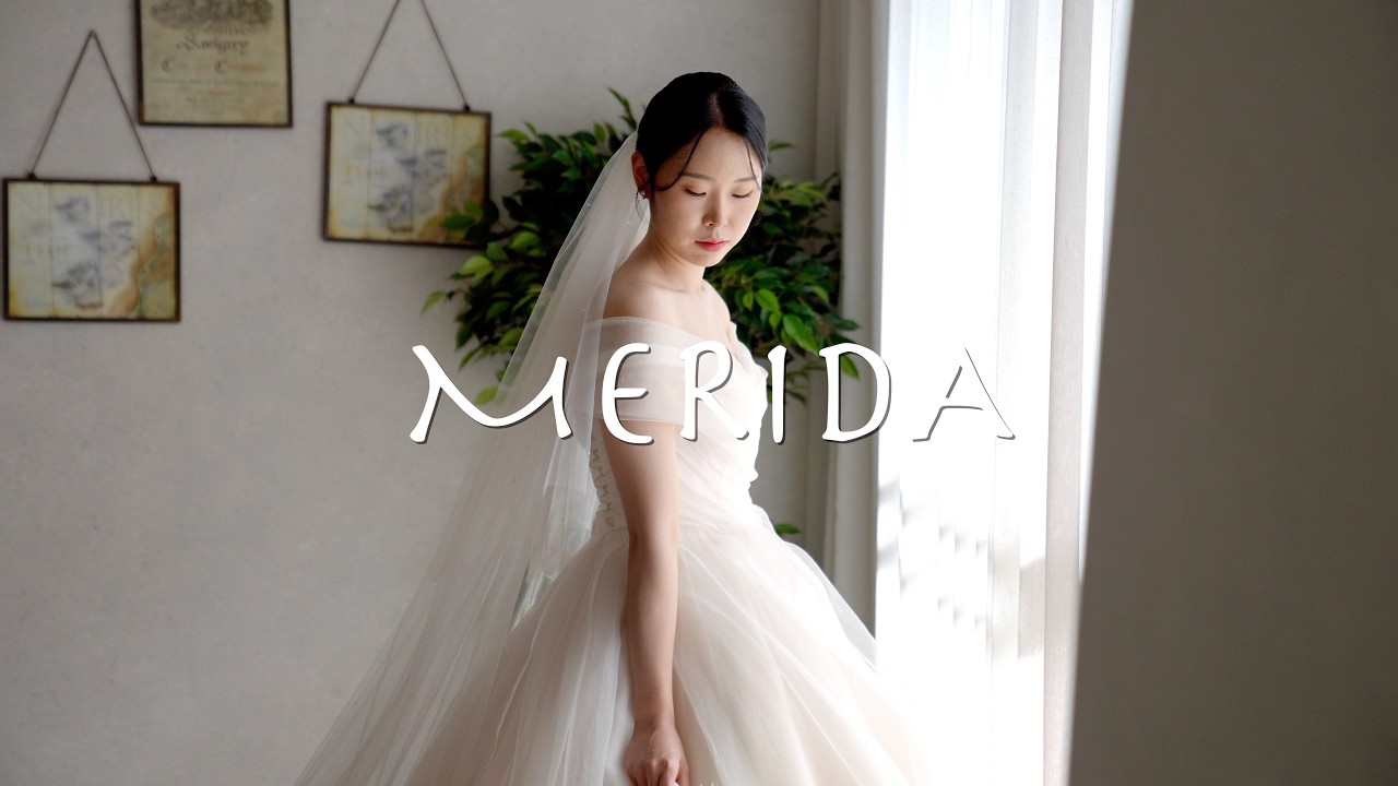 청주 메리다 이베리스홀 [1인1캠 식전챕터]  [쥬리필름]  본식 DVD / 4K UHD / FX3 / A7S3
