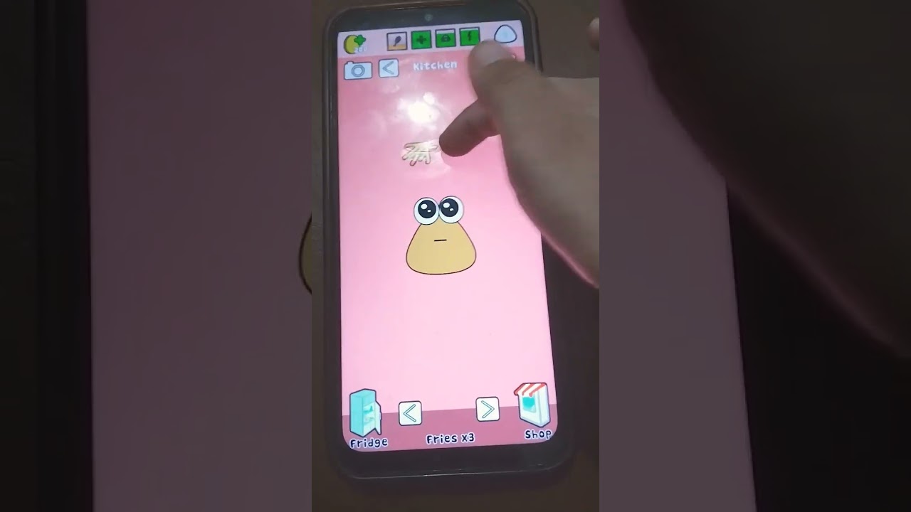 pou exe