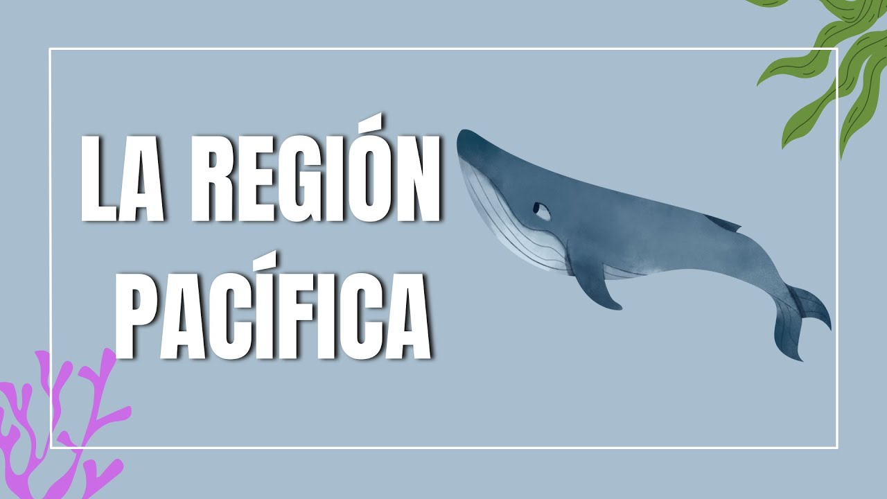 LA REGIÓN PACÍFICA // 5 Minutos por Colombia
