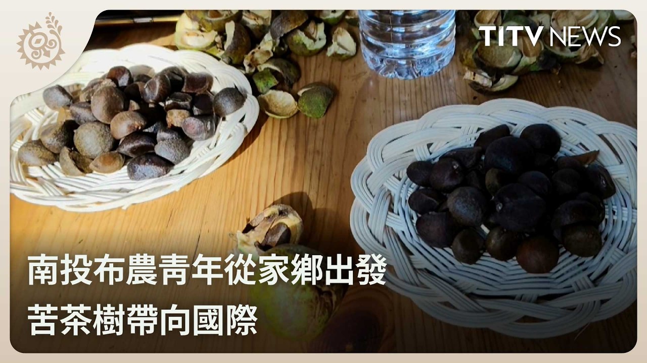 南投布農青年從家鄉出發 苦茶樹帶向國際｜每日熱點新聞｜原住民族電視台