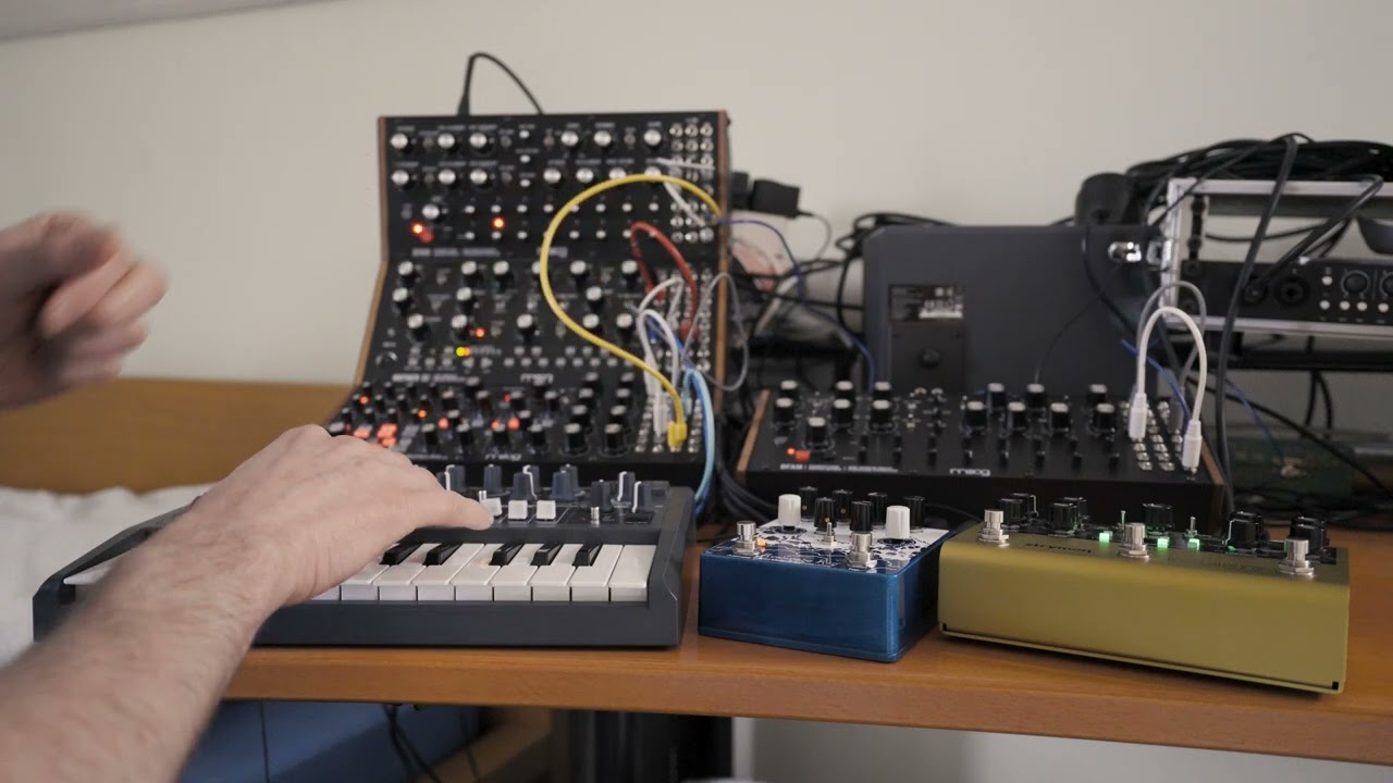 Transposed Sequences - Moog Sound Studio and DFAM