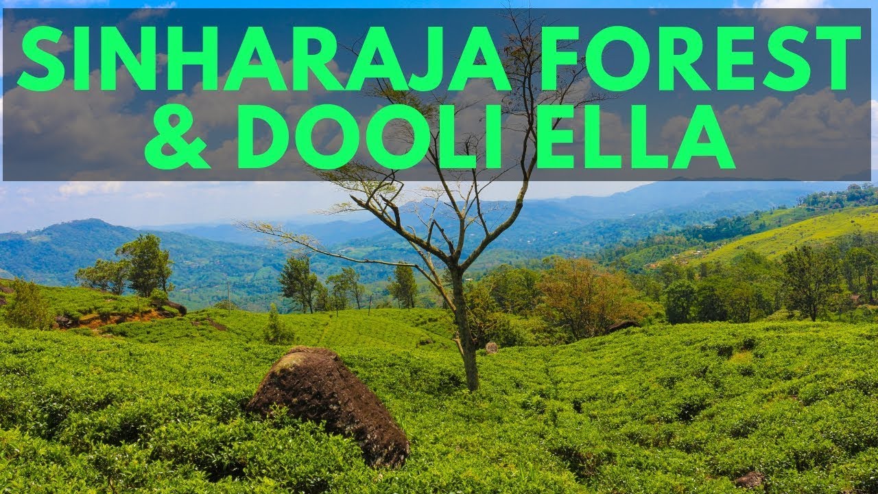 Sinharaja Forest Reserve & Dooli Ella Road Movie