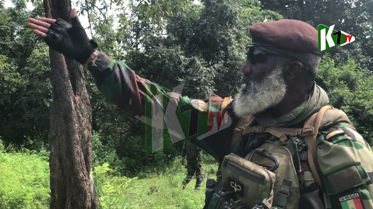 Djibidione: La Descente des Commandos dans dans les Champs de 