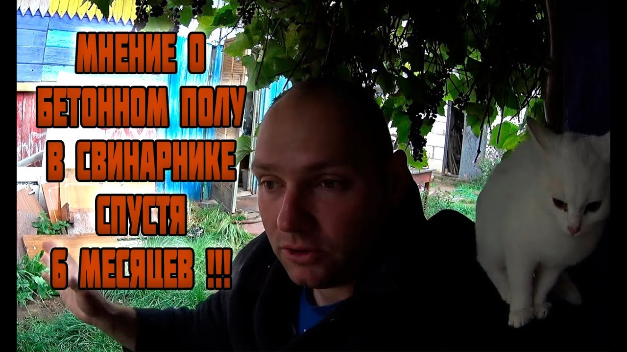БЕТОННЫЙ ПОЛ В СВИНАРНИКЕ СПУСТЯ ПОЛ ГОДА ИСПОЛЬЗОВАНИЯ!!! ( отчет )
