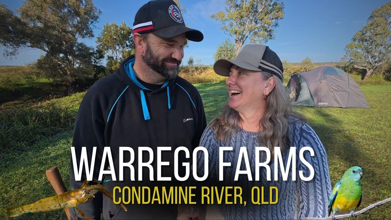 Camping on the Condamine River – Warrego Farms, QLD 🇦🇺