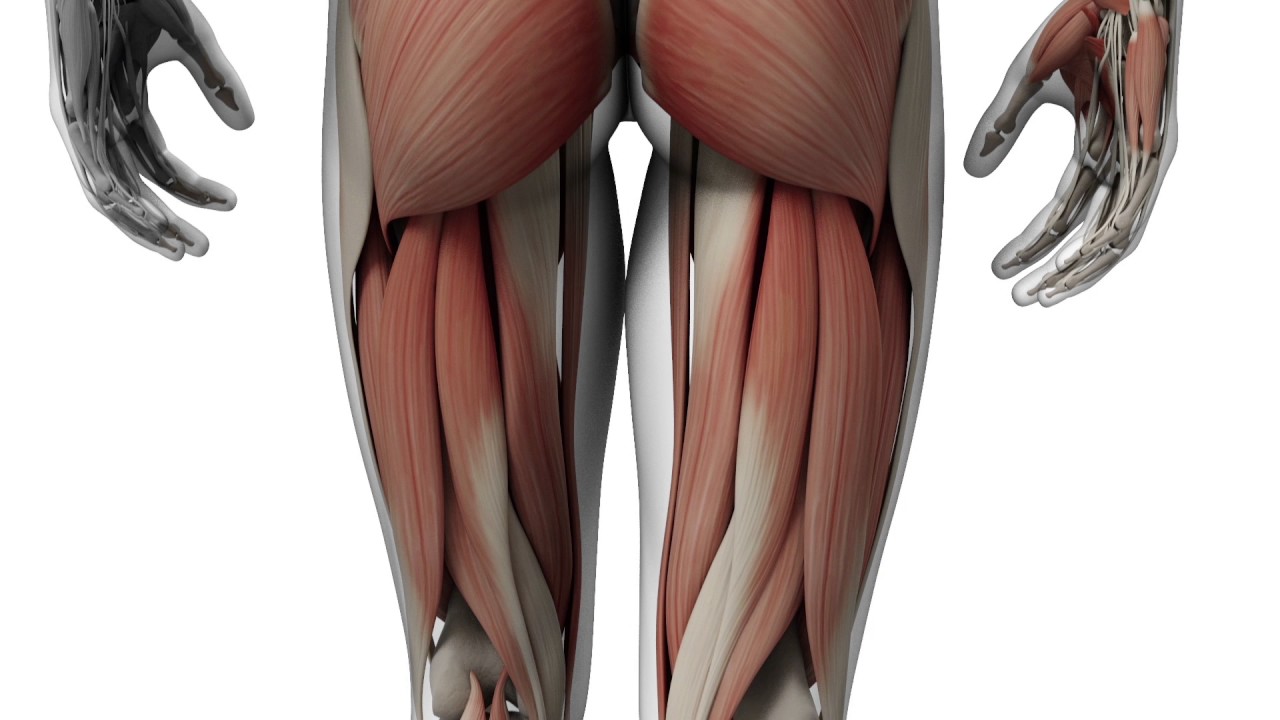 Electroterapia Gymna Serie200